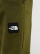 Джоггеры The North Face 8286955 Зелёный L N5608 - изображение 4