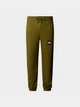 Джоггеры The North Face 8286955 Зелёный L N5608 - изображение 5