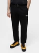 Джоггеры The North Face 8287106 Чёрный XXL N5618 - изображение 1