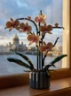 Квітка конструктор Орхідея з вазою 10311 icons Botanical 608 деталей квіти в горщику реалістична колекція подарунок - зображення 6