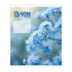 Зошит шкільний Bloom or fade А5 24 аркуша клітинка YES (768874) - зображення 5