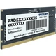 Модуль пам`яті SO-DIMM DDR5 32GB/5600 Patriot Signature Line (PSD532G56002S) - изображение 2