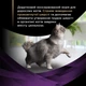 Вологий додатковий корм для дорослих котів Purina Pro Plan Hairball Care для виведення проковтнутої шерсті 7x35 г (8445292296885) - зображення 7