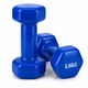 Гантель металлическая с виниловым покрытием 2 кг 2 шт Feel Fit Синий - изображение 1