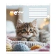 Зошит учнівський Улюблені котики Gold Brisk 3500 12 аркушів Різнокольоровий shop (4820058220139) - зображення 5