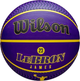 Мяч баскетбольный Wilson NBA Player Icon Outdoor BSKT LeBron NE Size 7 (WZ4027601XB7) - изображение 1