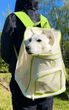Рюкзак-переноска WAUDOG Relax Eco 40х40х26 см для кошек и мелких пород собак до 8 кг - изображение 3