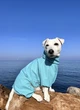 Дождевик для собак WAUDOG Clothes, водонепроницаемый, голубой, XS25 (19812) - изображение 15