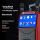 Huabao 1033 Bluetooth-колонка с двумя микрофонами для квадратных танцев с экраном, портативная караоке-колонка для улицы, домашнее универсальное устройство для пения и квадратных танцев - изображение 7