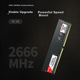 Оперативная память Great Wall 16ГБ DDR4 2666МГц для ПК, серия Puzhao - изображение 4