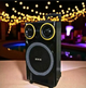 Портативная акустическая система ZXX-9191 60W 93 дБ с двумя микрофонами и LED подсветкой - изображение 7
