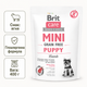 Сухой корм Brit Care Mini Puppy Lamb беззерновой для щенков мини пород с ягненком 400 г - изображение 3