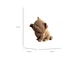 Картонний 3D пазл Maneki Kitten, Cartonic, 77 ел. - зображення 3