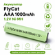 Аккумулятор FlyCat AAA 1000mAh 1.2V Ni-MH микро пальчиковый аккумулятор 10443 - изображение 1