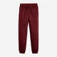 Спортивные штаны на флисе мужские Levi`s 199315923 L Бордовые (1159863445) - изображение 6