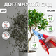 Секатор AgroStar мод.120 15 мм рез для цветов винограда кустов лозы садовый стальное лезвие обрезчик пружинный - изображение 4