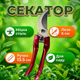 Секатор AgroStar мод.168 15 мм рез для цветов винограда кустов садовый стальное лезвие 6см обрезчик пружинный - изображение 1