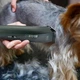 Професійна машинка для стрижки тварин Wahl Max 60, 2 швидкості, безщітковий мотор, мережева - зображення 4