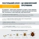 Средство от клопов Bioprotector 950 мл - изображение 5
