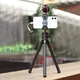 Штатив Ulanzi Vijim Octopus Tripod for Camera & Smartphones (updated) (UV-1907 MT-11) - изображение 7