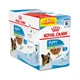 Вологий корм для цуценят Royal Canin X-Small Puppy 9+3 шт х 85 г - изображение 1