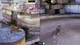 Ключ активации Little Strays: Deluxe Edition для Xbox One/Series S/X - изображение 5