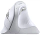 Мышь Ugreen MU008 Wireless/Bluetooth White (UGR-45759) - изображение 3
