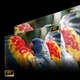 Проєктор Hisense C3 (7282759) - изображение 11
