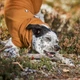 Утеплена куртка для собак Hurtta Warming Midlayer ECO 45 Гірчичний - изображение 14