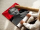 Постер Коновалец Евгений Михайлович, A2 60×41 см (id5254) - изображение 3