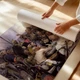 Постер Запорожцы пишут письмо турецкому султану, Илья Репин, Ilya Repin, Zaporozhian Cossacks, A1 60×101 см (id3423) - изображение 3