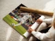 Постер Футболіст Кріштіану Роналду, Cristiano Ronaldo, A2 43×60 см (id1928) - зображення 3