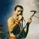 Интерьерная картина Фредди Меркьюри, Freddy Mercury, Queen, Квин, концертное ретро фото, рок, 27×42 см (id7286) - изображение 3