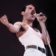 Інтер'єрна картина Фредді Мерк'юрі, Freddy Mercury, Queen, Квін, концертне ретро фото, рок, 60×86 см (id7287) - зображення 3
