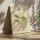 Интерьерная картина Ботаническая иллюстрация, Erythronium Dens Canis, растения, интерьерный постер, 40×30 см (id7157) - изображение 2