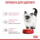 Royal Canin Kitten Loaf (Роял Канін Кіттен паштет) вологий корм для кошенят до 12 міс. 85 г х 12 шт - зображення 3