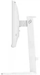 Монітор 23.8" Philips Evnia 24m2n3201p/00 White - зображення 7