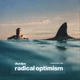 Виниловая пластинка Dua Lipa - Radical Optimism - изображение 1