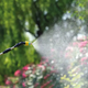 Обприскувач акумуляторний 2в1 + насадки, 16л, Sprayer / Ранцевий електрообприскувач для саду (L) - изображение 2