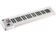 Midi-клавиатура Roland A-49 белая - изображение 2