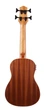 Укулеле Fzone FZUB-003 Bass Ukulele - изображение 4