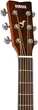 Электроакустическая гитара Yamaha FGX800C (Sand Burst) - изображение 7