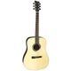 Акустическая гитара VGS R-10 Rose - изображение 2