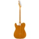 Электрогитара Fender Vintera 70s Telecaster Thinline MN Aged Natural - изображение 2