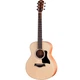 Акустическая гитара Taylor Guitars GS Mini Sapele - изображение 1