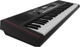 Синтезатор Roland E-X10 - изображение 2