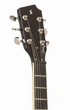 Электрогитара Stagg SVY 533 BK - изображение 6