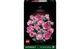 Конструктор Lego Botanicals Букет розовых роз, 789 деталей 10374 - изображение 1