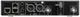 Двухканальный цифровой беспроводной приемник Sennheiser EW-DX EM 2 Dante Q1-9: 470.2 - 550 МГц (4044155260342) - изображение 2