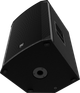 Акустична система Electro-voice EKX-15P (8717332969647) - зображення 3